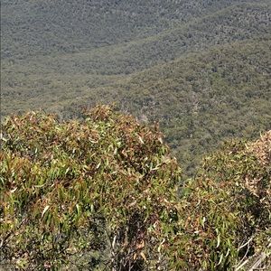 Meet your Posher, Basira